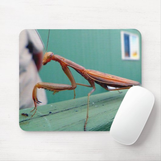 Tapis De Souris Mantis et fourmi (Avec souris)