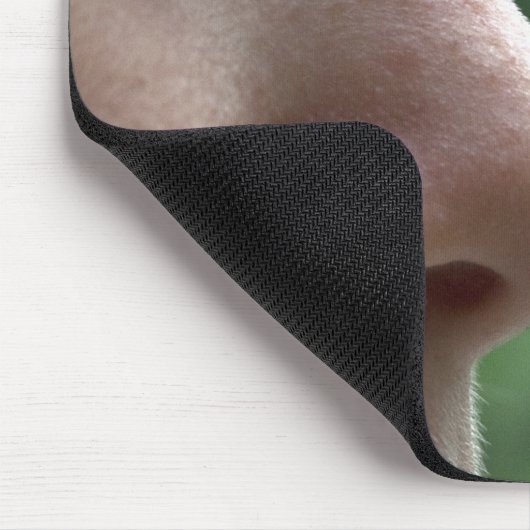 Tapis De Souris Mantis religiosa (Coin)