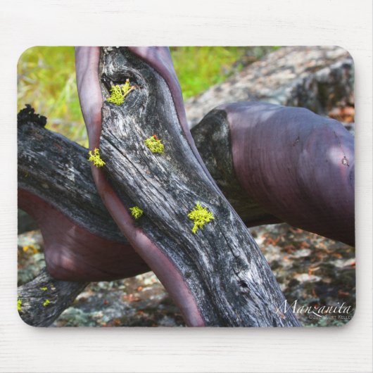 Tapis De Souris Manzanita Mousepad (Devant)