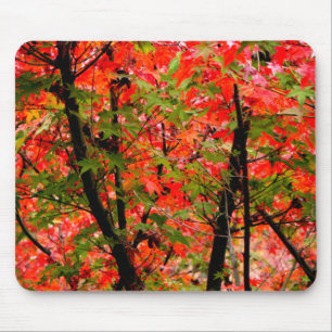 Tapis De Souris Maples japonaises