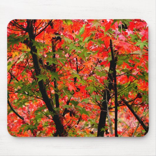 Tapis De Souris Maples japonaises (Devant)
