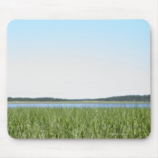 Tapis De Souris Marais de Cape Cod (Devant)