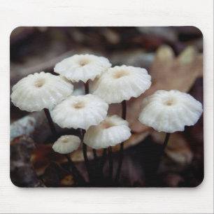 Tapis De Souris Marasmius rotula