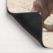 Tapis De Souris Marche de chiot de chiwawa (Coin)