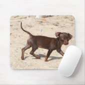 Tapis De Souris Marche de chiot de chiwawa (Avec souris)