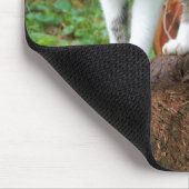 Tapis De Souris Marche en chat - Kitty Mousepad (Coin)