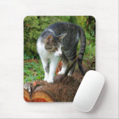 Tapis De Souris Marche en chat - Kitty Mousepad (Avec souris)