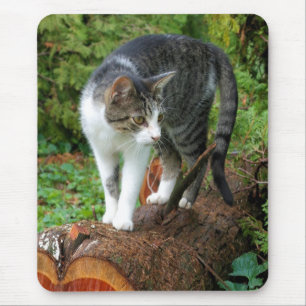 Tapis De Souris Marche en chat - Kitty Mousepad