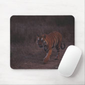 Tapis De Souris Marches du tigre le long du sentier (Avec souris)
