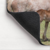 Tapis De Souris Mare & Colt au cratère volcanique de Rano Raraku (Coin)