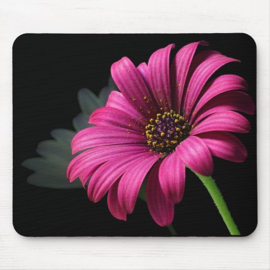 TAPIS DE SOURIS MARGUERITE ROSE DE STUDIO (Devant)