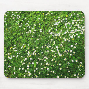 Tapis De Souris Marguerites dans l'herbe