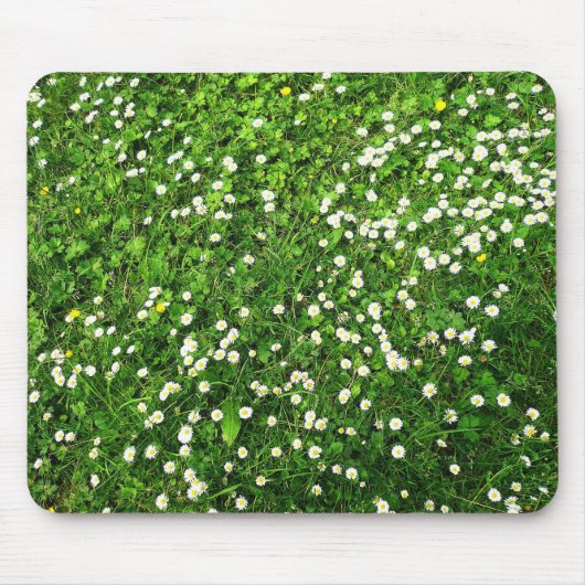 Tapis De Souris Marguerites dans l'herbe (Devant)