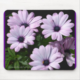 Tapis De Souris "Marguerites pourpres pâles "