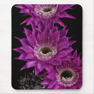 Tapis De Souris Maria Piazza à la troisième