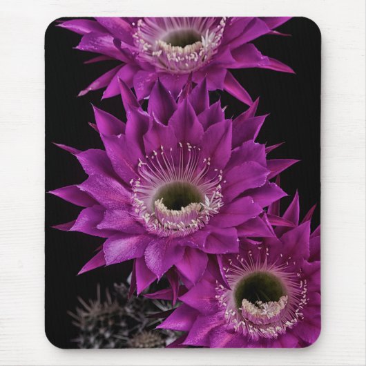 Tapis De Souris Maria Piazza à la troisième (Devant)