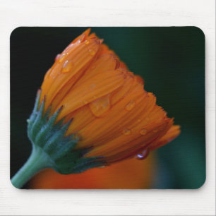 Tapis De Souris Marigold orange