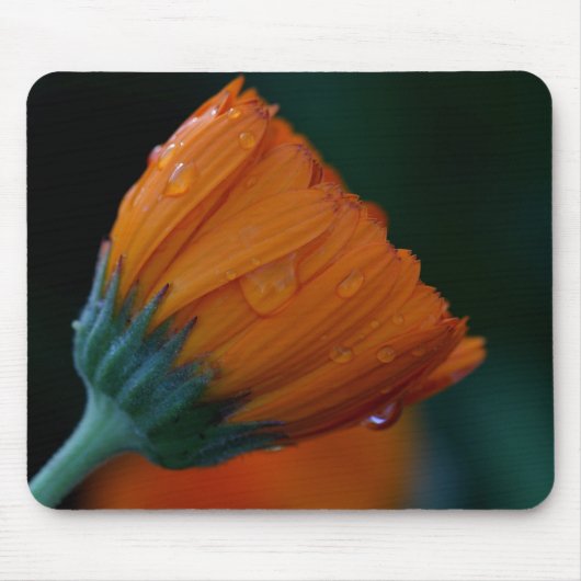 Tapis De Souris Marigold orange (Devant)