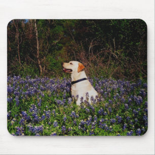Tapis De Souris Marin dans le mousepad de bluebonnets