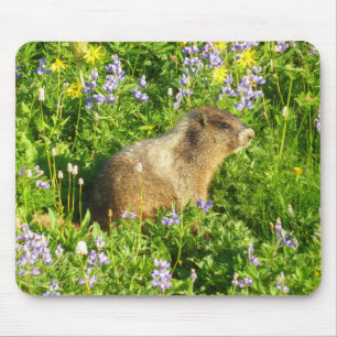 Tapis De Souris Marmot dans le Mont Rainier Fleurs sauvages