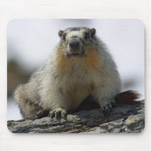 Tapis De Souris Marmot gonflé par jaune