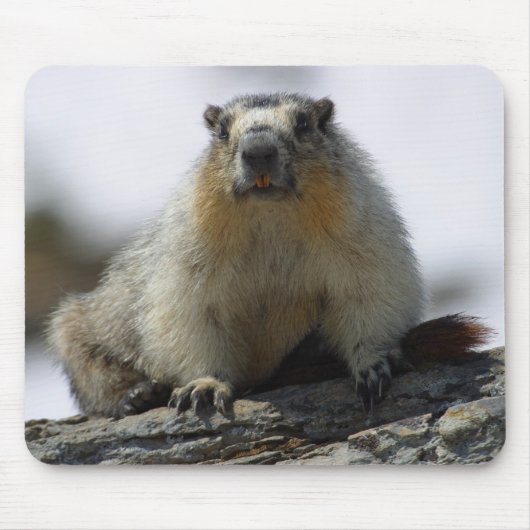 Tapis De Souris Marmot gonflé par jaune (Devant)