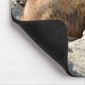Tapis De Souris Marmotte alpine sur roche (Coin)