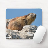 Tapis De Souris Marmotte alpine sur roche (Avec souris)