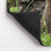 Tapis De Souris Marmotte mâchant une fleur (Coin)