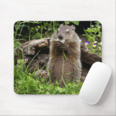 Tapis De Souris Marmotte mâchant une fleur (Avec souris)