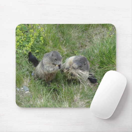 Tapis De Souris Marmottes mousepad (Avec souris)