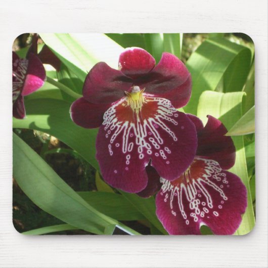 Tapis De Souris Maroon Orchids II (Devant)