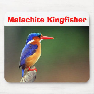 Tapis De Souris Martin-pêcheur de malachite, martin-pêcheur de