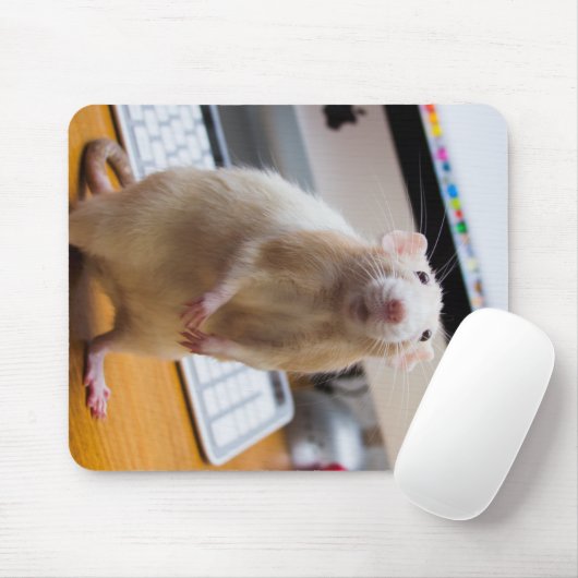 Tapis De Souris Marty Mouse Mousepad - Souris informatique (Avec souris)