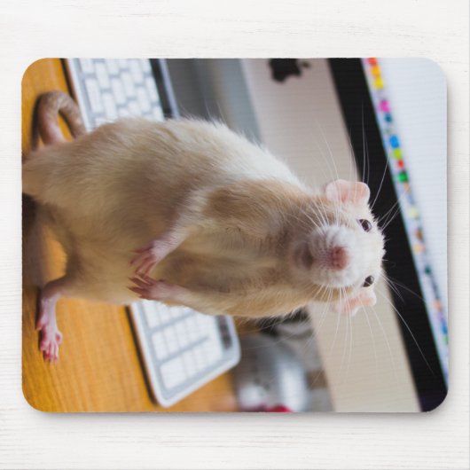 Tapis De Souris Marty Mouse Mousepad - Souris informatique (Devant)