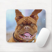 Tapis De Souris Mastiff (Avec souris)