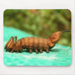 Tapis De Souris Mat de souris à chenille de homard