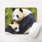 Tapis De Souris Mat très mignon Panda (Avec souris)