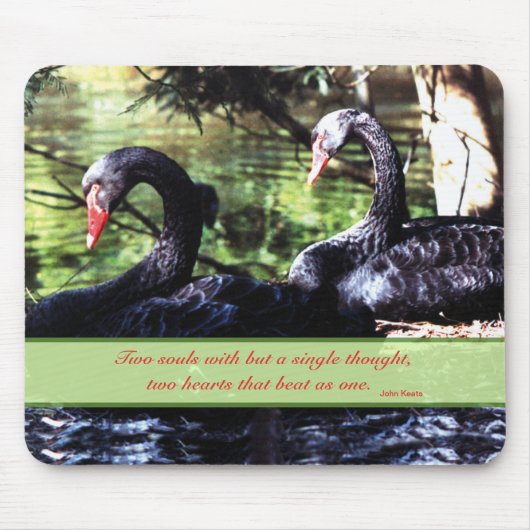 Tapis De Souris Mates for Life Black Swans with Love Citation (Devant)