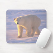 Tapis De Souris Matin 2 Mousepad d'ours blanc (Avec souris)