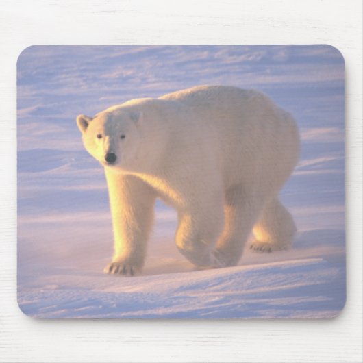 Tapis De Souris Matin 2 Mousepad d'ours blanc (Devant)