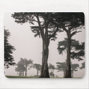 Tapis De Souris matinée brumeuse