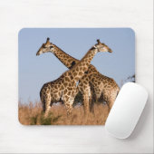 Tapis De Souris Mauspad girafes (Avec souris)