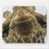 Tapis De Souris Mauspad Giraffe Baiser (Devant)