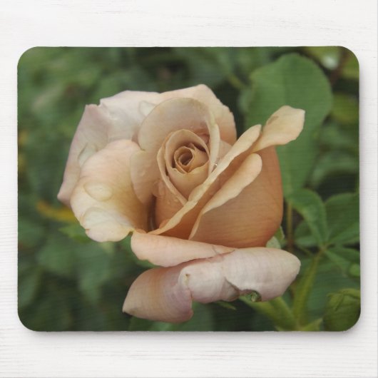 Tapis De Souris Mauve Rose (Devant)