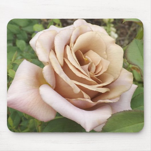 Tapis De Souris Mauve Rose (Devant)