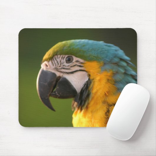 Tapis De Souris McCaw Mousepad (Avec souris)