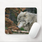 Tapis De Souris Méditer le loup (Avec souris)