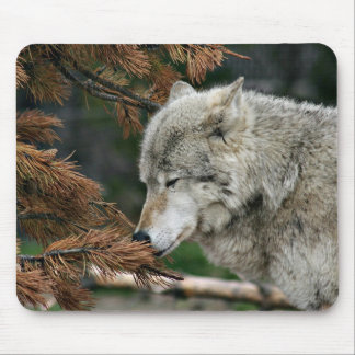 Tapis De Souris Méditer le loup