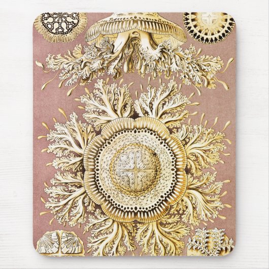 Tapis De Souris Méduse, Discomedusae par Ernst Haeckel (Devant)